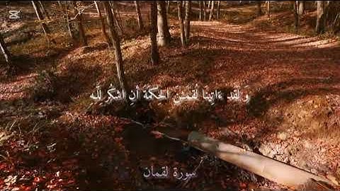 سورة لقمان من آيه (٦-١٩) - ياسر الدوسري 🖤🖤