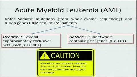 Algorithms for Automated Discovery of Mutated Pathways in Cancer - Ben Raphael
