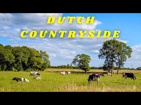 Visiting the Dutch countryside helped me reset, refresh & relax