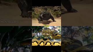 Gatoroid vs Piranhaconda