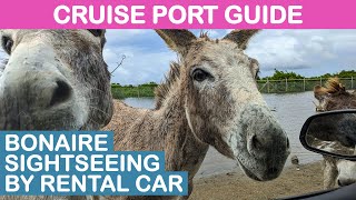 Bonaire (Kralendijk) Cruise Port Guide: Sightseeing by Rental Car