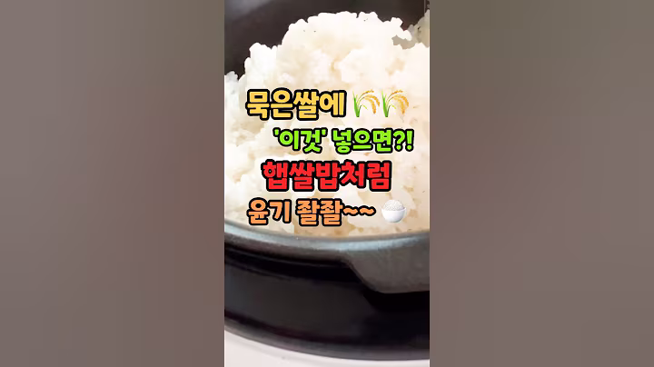 묵은쌀에 이것! 넣으면 햅쌀밥이 됩니다! #건강 #건강정보 #건강관리 #음식 #밥 #집밥 #최고의음식 #쇼츠 #shorts #강아지 #반려견 #비숑프리제