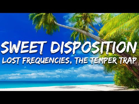 Lost Frequencies The Temper Trap Sweet Disposition A Moment A Love Lyrics Lost Frequencies The Temper Trap Sweet Disposition A Moment A Love Lyrics