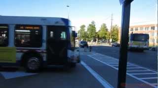 WMATA Metrobus | Minnesota Ave Station Bus Compilation #1 (SP & Annex Takeover)