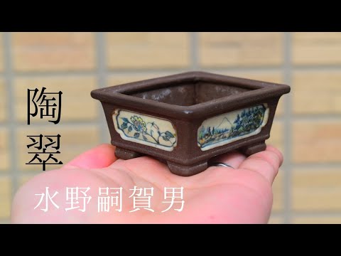 陶翠鉢　盆栽鉢　2点セット⑥ 陶翠鉢 盆栽鉢 2点セット⑥ Yahoo!オークション -「陶翠 鉢」の