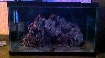 10 Gal nano reef DIY Lighting Storm