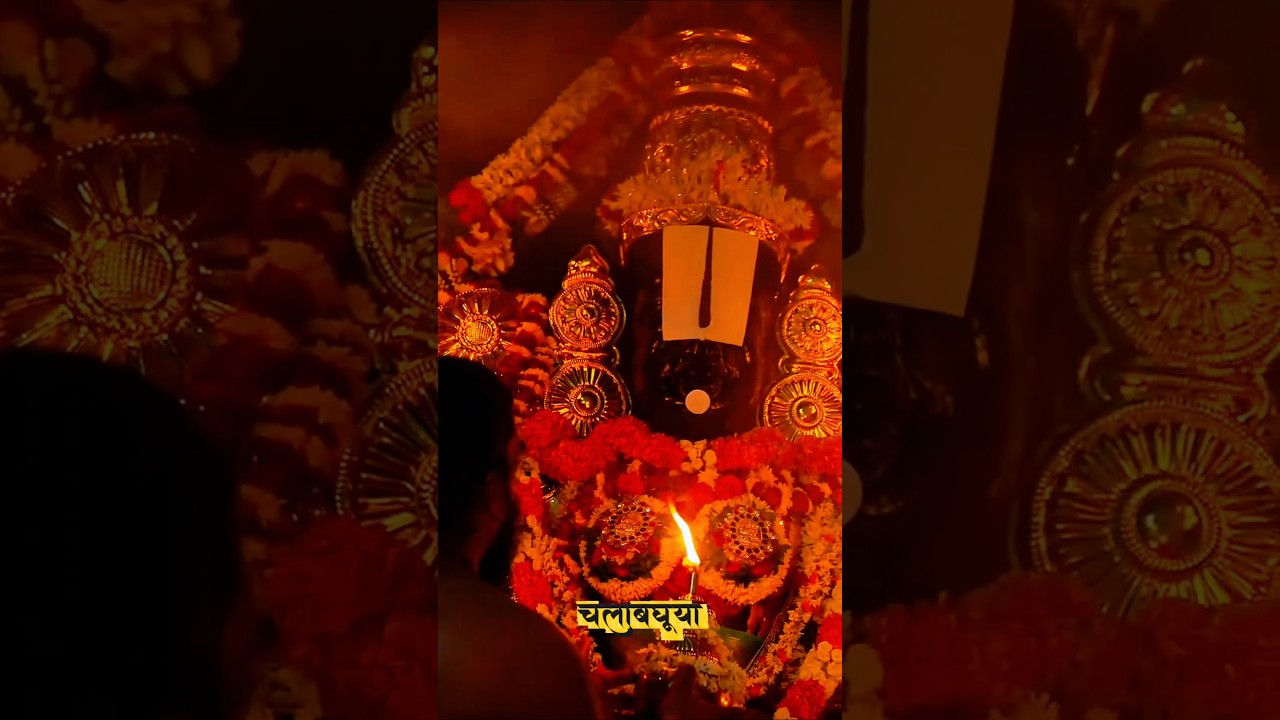 Tirupati Balaji Aarti & Temple Darshan 🛕 | #shortsfeed #tirupati #tirupatibalaji #youtubeshorts