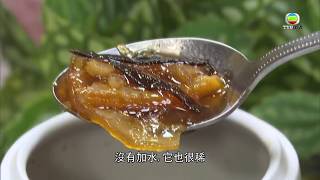 肥媽教你平食陳年老陳皮冰糖燉檸檬  睇片學煮餸