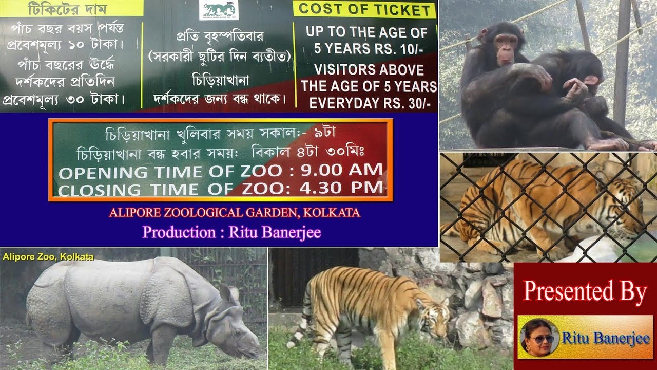 Kolkata Zoo, Alipore - Presented by Riru Banerjee | Ritu Banerjee