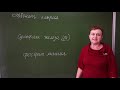 8 класс. Кислоты и соли. Составление формул солей по валентности.