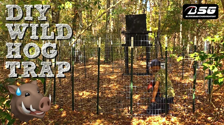 DIY WILD HOG TRAP!!! 🐗 [Corral Style Trap w/ Homemade Drop Door] - #TRAPPING #VLOG