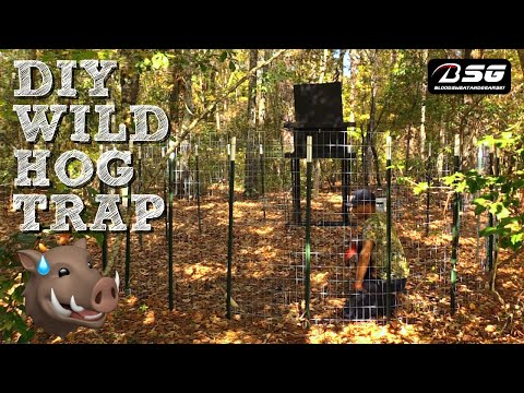 DIY WILD HOG TRAP!!! 🐗 [Corral Style Trap w/ Homemade Drop Door] - #TRAPPING #VLOG