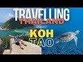 You must visit koh tao  2023 travel vlog 4k   travelling thailand episode 6