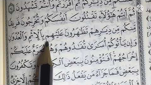 سورة البقرة آية ٨٥ والفرق بين الاظهار المطلق والادغام #تجويد #تصحيح_تلاوة #كمثل_الأترجة #قرآن_كريم