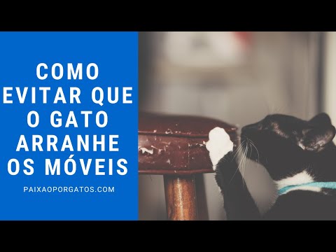 Vídeo: Como Evitar Que Um Gato Arranhe Móveis