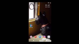 Dominos Pizza Dominator pedida mediante App screenshot 3