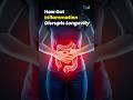 Can Oxygen Help Your Body Heal Faster? | Chronic Pain Recovery Explained