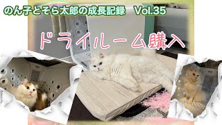 ドライルーム購入 by のん子とそら太郎の成長記録 52 views 3 weeks ago 4 minutes, 55 seconds