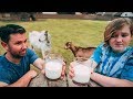 Taste Test Challenge: Which goat has the BEST milk?