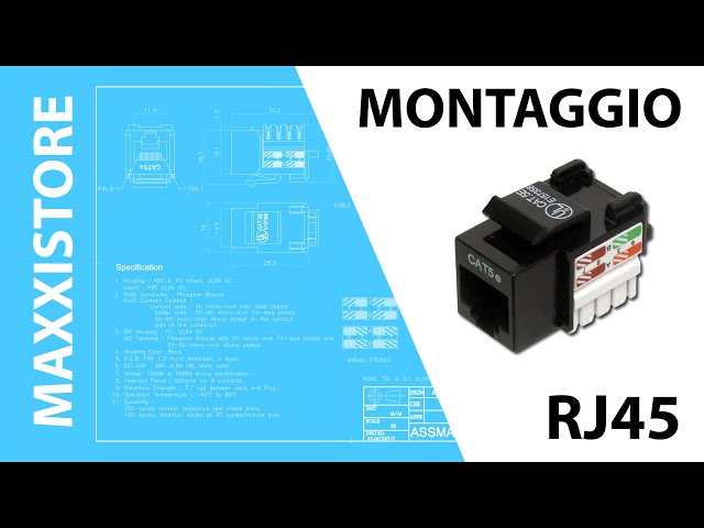 Come assemblare un connettore RJ45  CRXCONEC: La tua fonte per prese  Keystone ad alta velocità e cavi patch