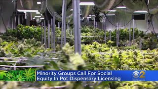 Minority Groups Call For Social Equity In Pot Business Licensing