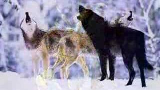 Native American Wolves  & return to innocence