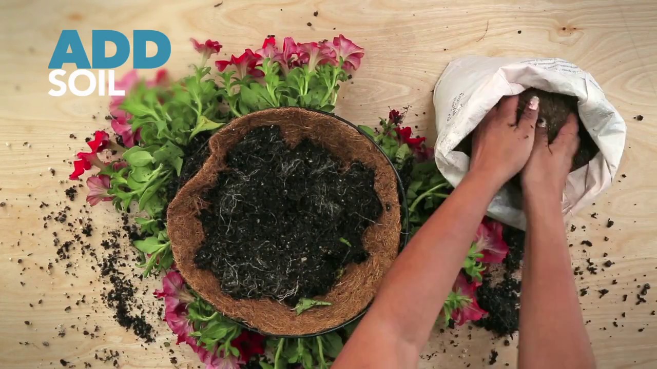 DIY Hanging Flower Spheres