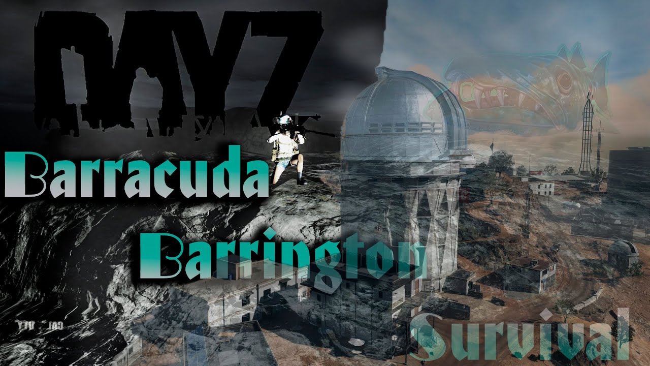 Psyplay в DayZ BARRACUDA PVE и НАГИБЫ в COD WZ2