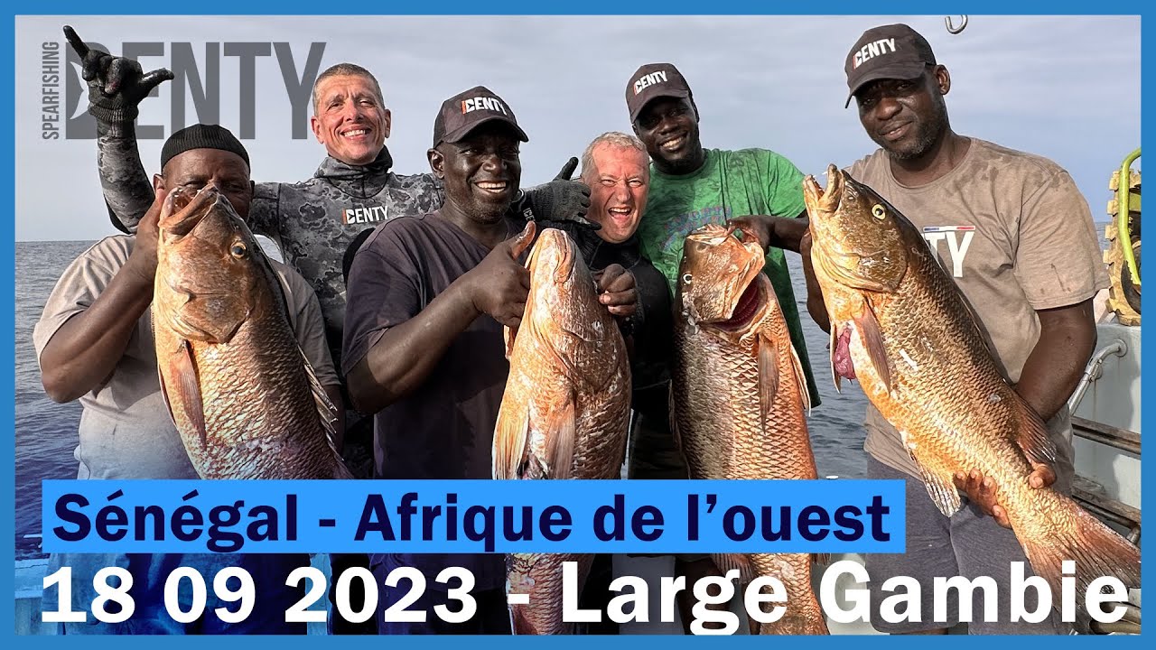 Le chant des baleines de Gambie en Chasse sous-marine.