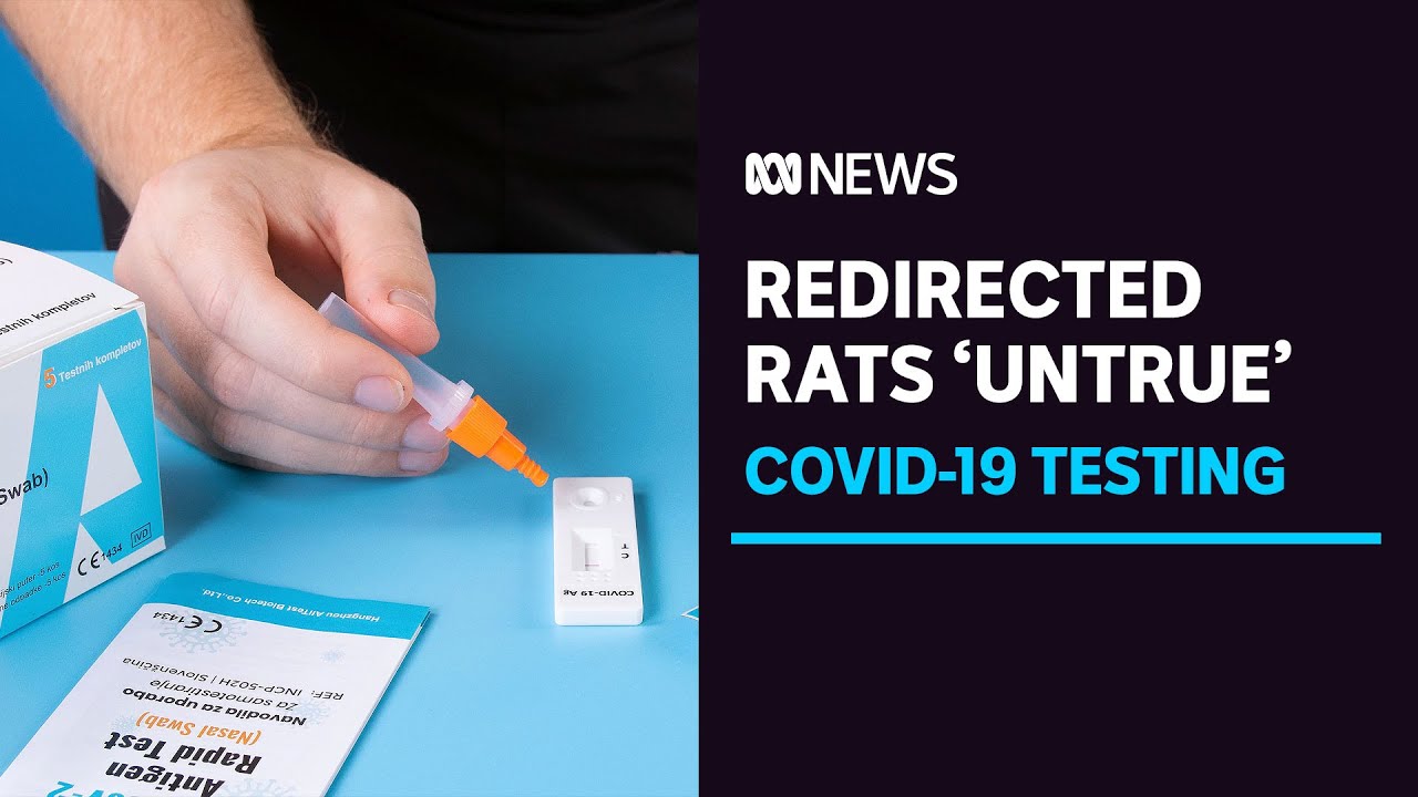 Claims federal government redirected RAT supplies from businesses referred to ACCC | ABC News