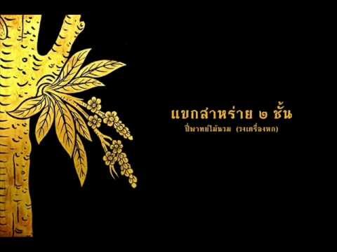 แขกสาหร่าย ๒ ชั้น