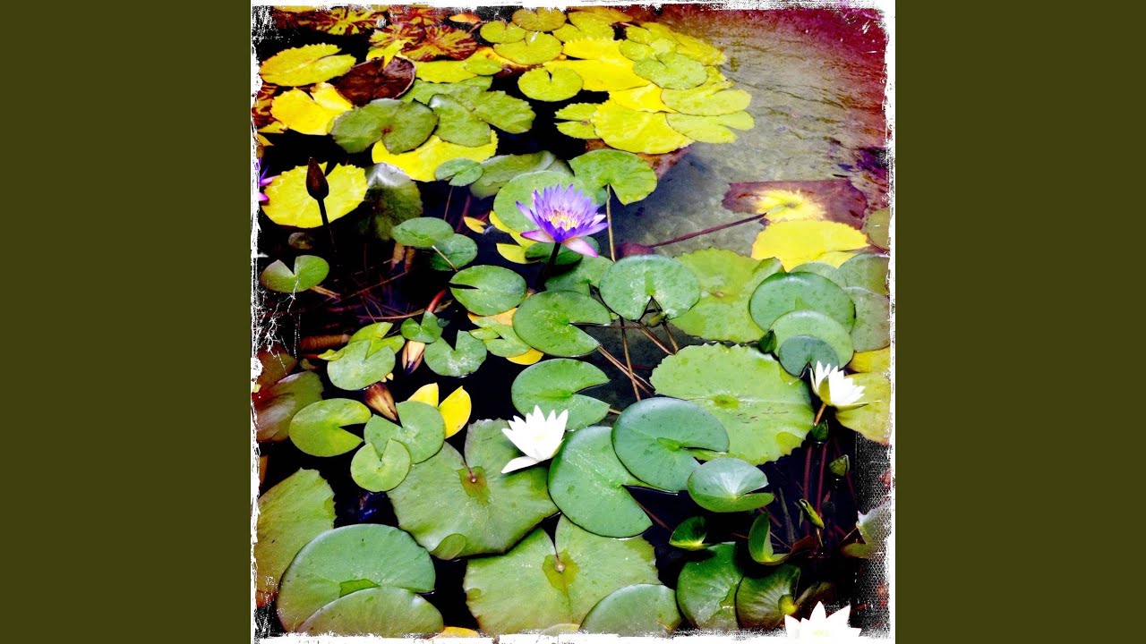 Watch Silk Road on YouTube Watch Silk Road on YouTube