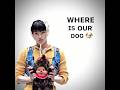 “where is our …”trend #enhypen #fyp #dogowner #dog #blowup #trending #jake #edit #korea