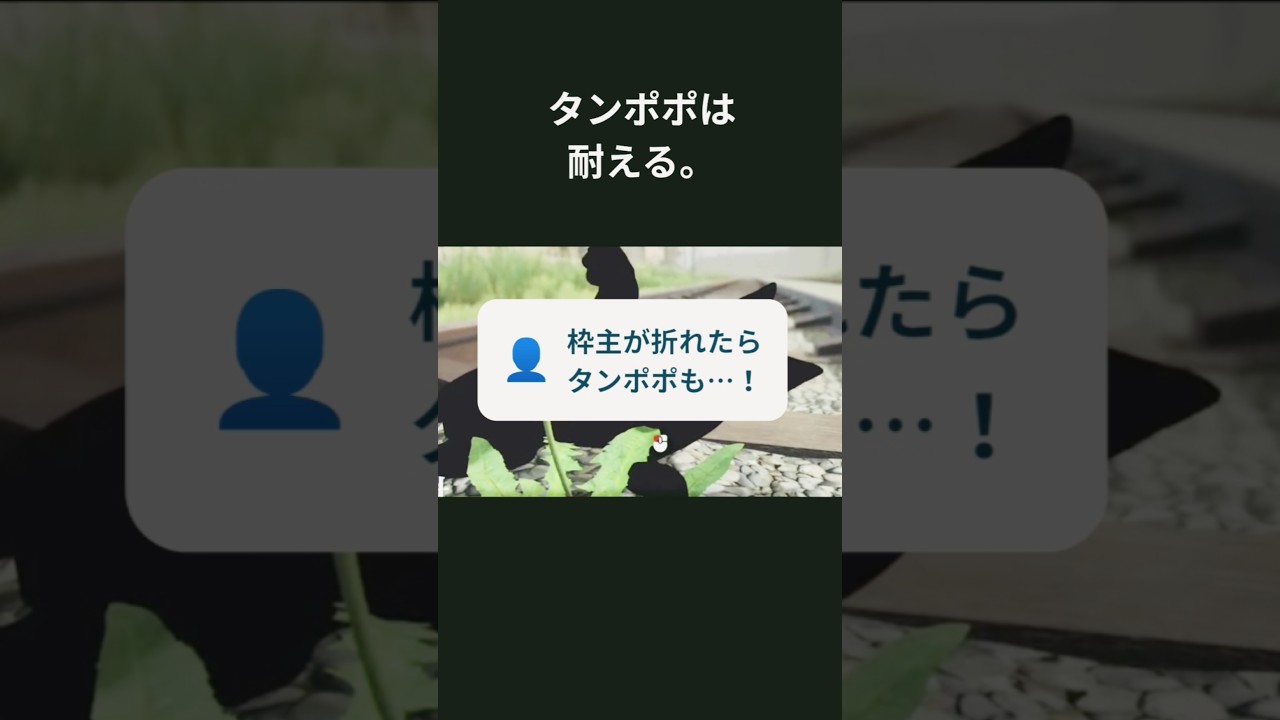 人は心が原動力だから【タンポポは耐える。 】
