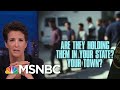 Americans Finding Ways To Work Against Donald Trump Immigration Policy | Rachel Maddow | MSNBC