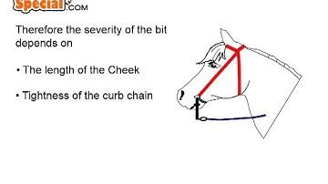 The Curb Bit.  How it works.