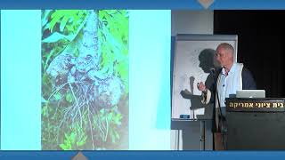 Prof. Heiner Fruehauf: About Kidneys in Chinese Medicine