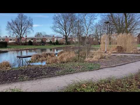 Wat is typisch Goirle?