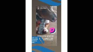 Totem Soft Pet Games - Mordedor Funcional Nocivo para os Dentes, para Cães screenshot 1