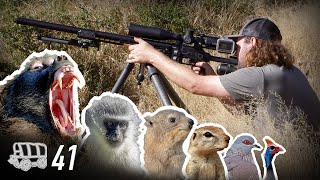 6 Species in ONE DAY... a Hunter's Paradise! | Oxwagon Diaries, pt.41 by AirArmsHuntingSA 173,095 views 7 months ago 27 minutes