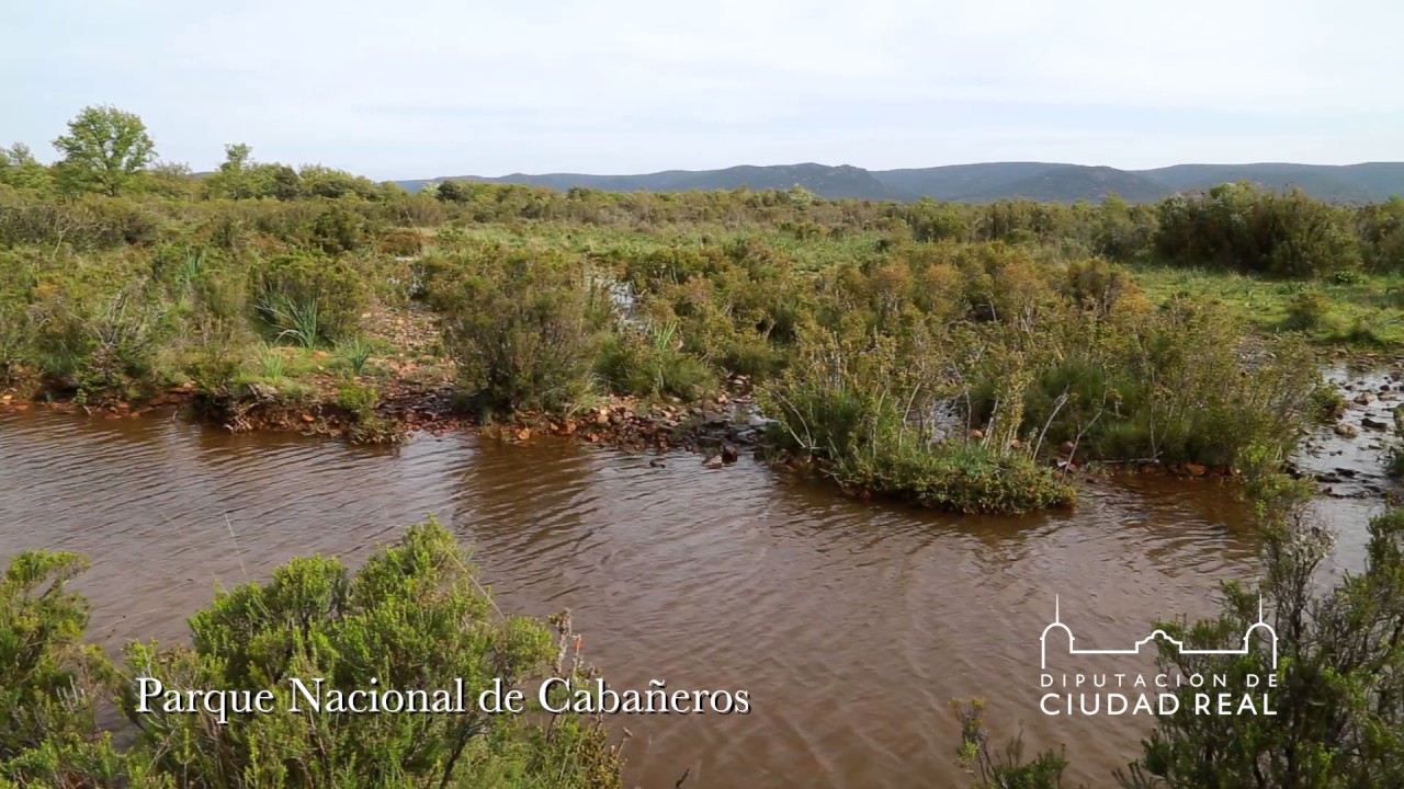 Parque Nacional de Cabañeros - Diputación de Ciudad Real diputación de lugo