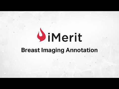 Breast Imaging Annotation with Ango Hub | iMerit Medical AI