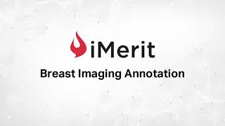 Breast Imaging Annotation with Ango Hub | iMerit Medical AI