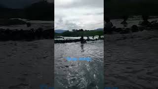 Ganito kami nung Araw sa province #trending #travel #nature #shorts
