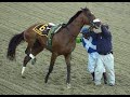 The story of the hero barbaro