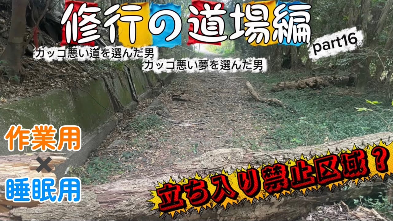 【歩くの苦手な人】が修行の道場を歩くよ🚶高知県 part16