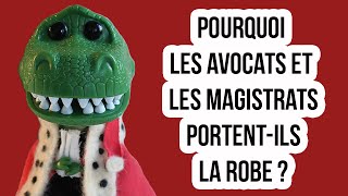 Pourquoi les magistrats et les avocats portent-ils la robe? - ANGLE DROIT #02