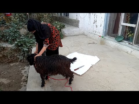 woman butcher goat/ Miss Laila routine