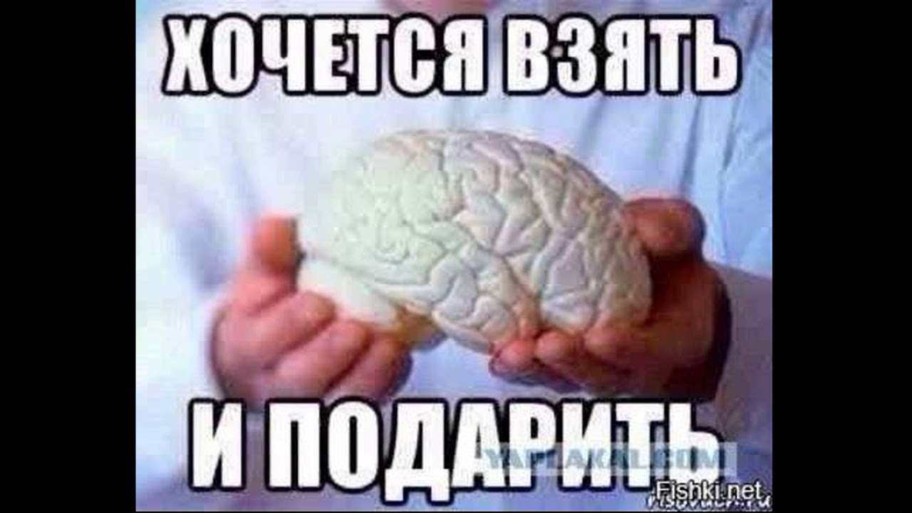 Купить Мозги Без Смс И Регистрации
