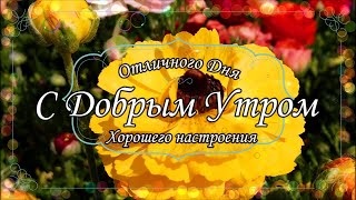 💖Желаю Самого Доброго Солнечного Утра 1 Июня!💖Шикарная Музыкальная открытка С ДОБРЫМ УТРОМ!💖